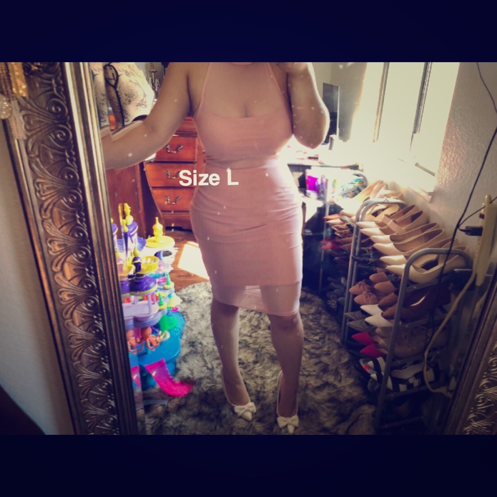 ❌SOLD❌ Blush Pink Mesh Bodycon Dress